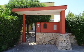Il Melograno - Giuggiolo